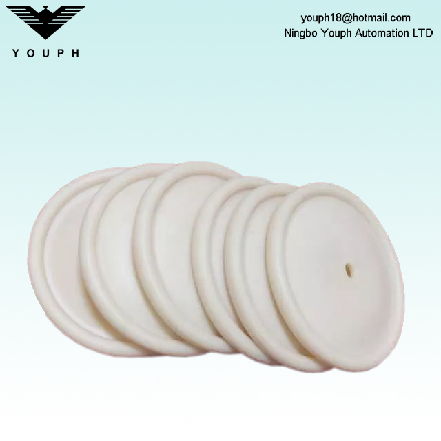 00-1030-55 00-1010-58 Wilden P.025 Diaphragm de la pompe 