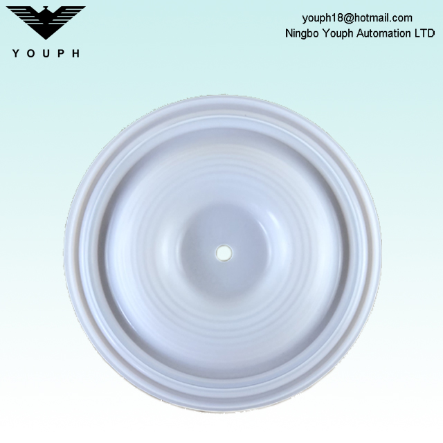 Wilden 01-1010-55 01-1060-51 Menbrane de pompes de diaphragme p1