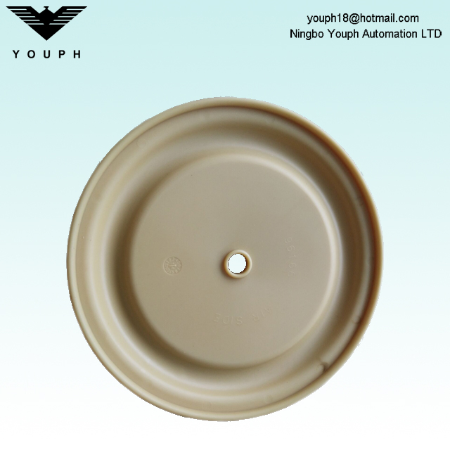 96166 Diaphragme de Santoprène d'Aro Ingersoll Rand Pompe en plastique de 1,5 pouce PD15P-FPS-PTT 
