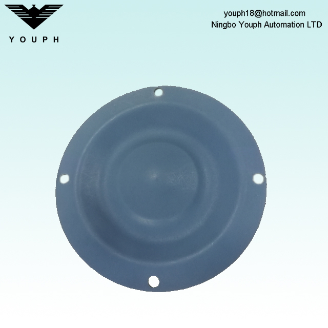 11003167 ALMATEC E10 PTFE et EPDM Double couche Diaphragm 