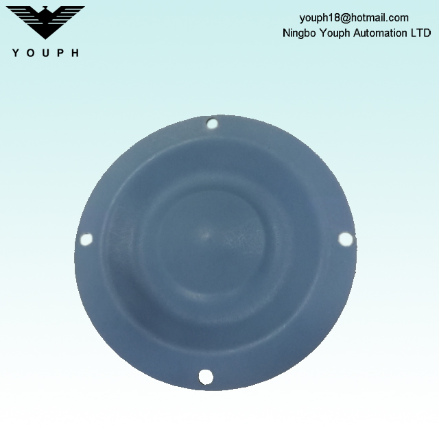 11003167 ALMATEC E10 PTFE et EPDM Double couche Diaphragm 