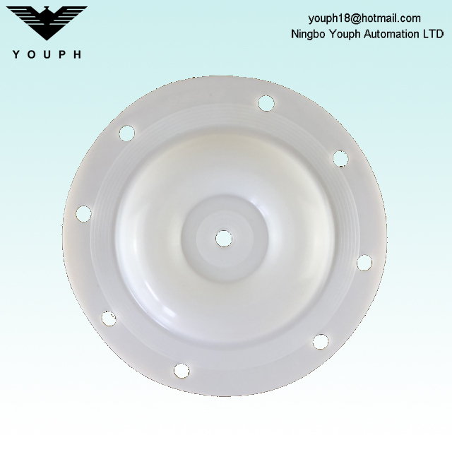 E505TF Versa-Matic 1/2 pouce diaphragm PTFE 