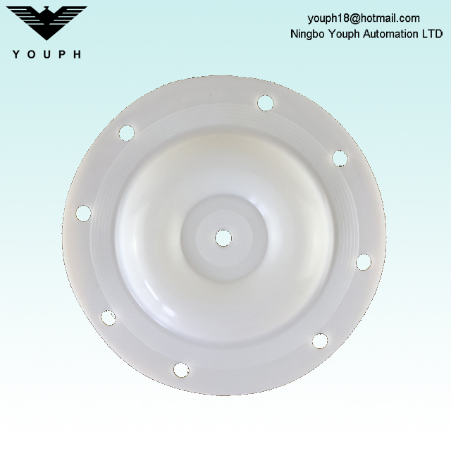 E505TF Versa-Matic 1/2 pouce diaphragm PTFE 