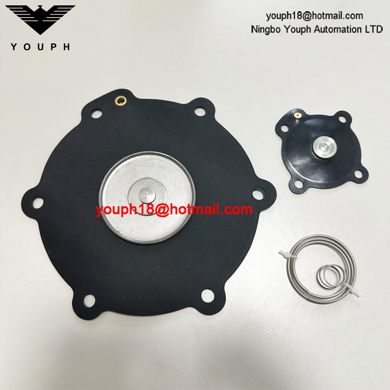 DB120 DB16 Salverome d'impulsion VEM220 VNP220 VEM420 VNP420 Kit de réparation de diaphragme de 2,5 pouces