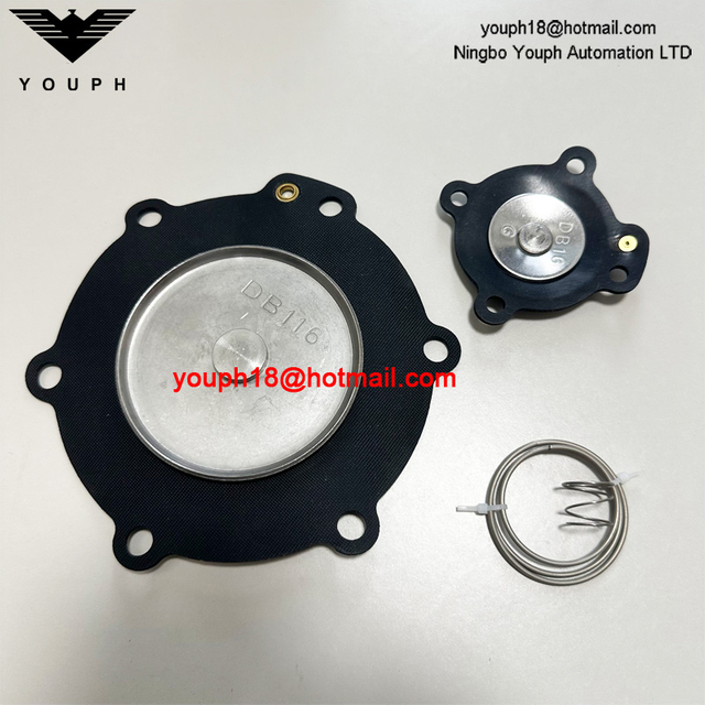 DB116 DB16 Vanne d'impulsion VEM216 VNP216 VEM416 VNP416 2 'DN50 Kit de réparation de diaphragm de nitrile Viton