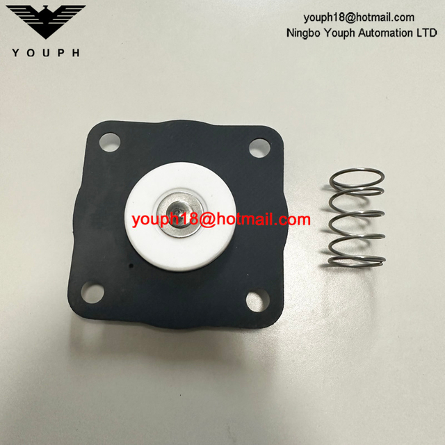 GOYEN K2033 RCAC20 RCAC20FS4 Kit de diaphragme de la vanne d'impulsion RCAC20ST4