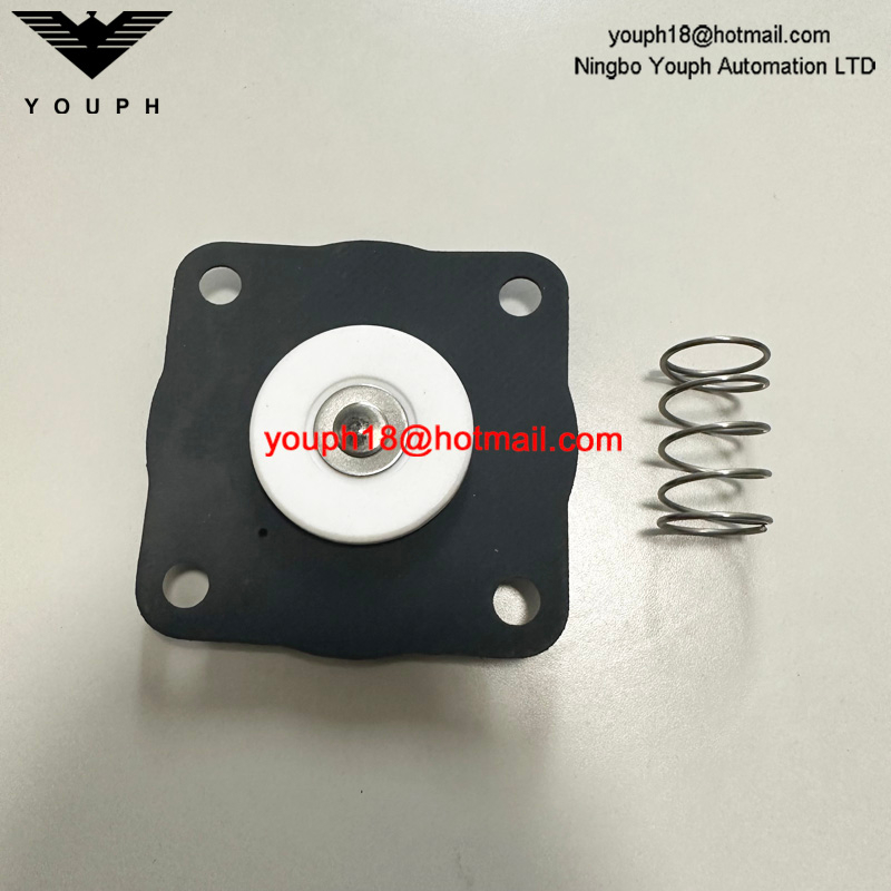 GOYEN K2033 RCAC20 RCAC20FS4 Kit de diaphragme de la vanne d'impulsion RCAC20ST4