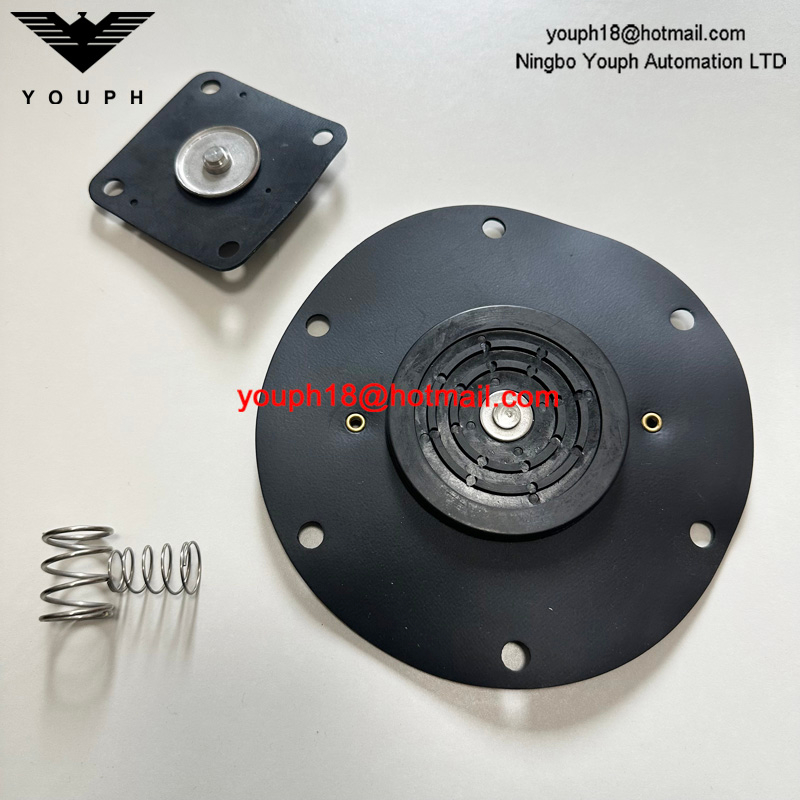 Kit de réparation 1247732.0000.00000 pour la vanne de diaphragm 8493635.0000.00000