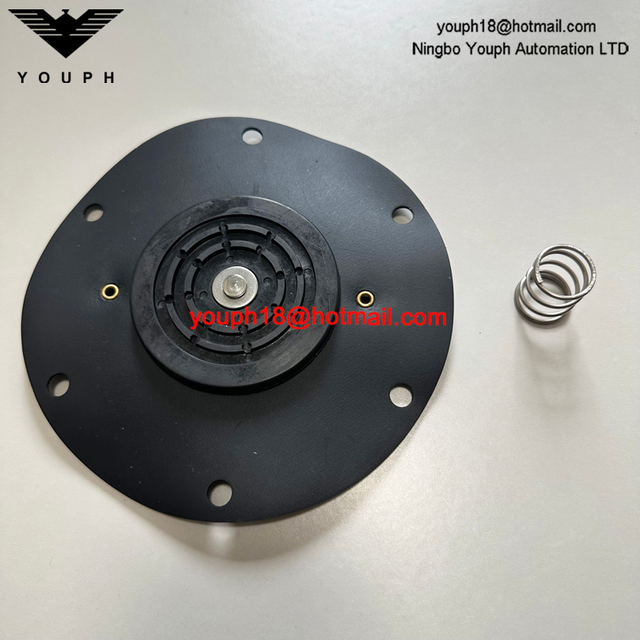 Kit de réparation pour la vanne à diaphragm 8493635.0000.0000 DN65 102-SMALL 107-Garrial Spring 105-Small 108-Grown Diaphragm
