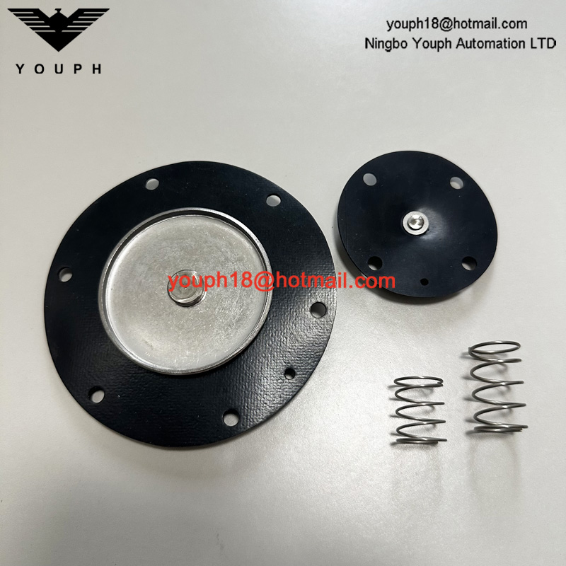 GOYEN K4000 M1182 DIAPHRAGM VALVE CA / RCA40T Kit de réparation de membrane