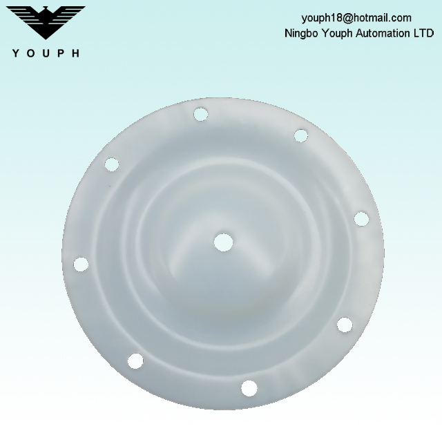 Ingersoll Rand 93459-4 PTFE DIAPHRAGM DIAMETER 196 mm pour 1 'Pompes à diaphragme ARO 