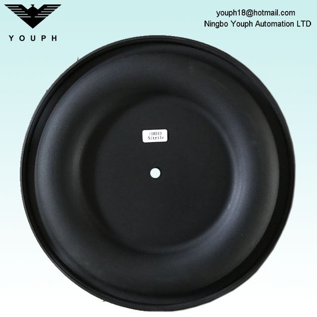 15B313 Buna Diaphragm Graco 2 pouces Husky 2150 AODD Pompes Diaphragm en caoutchouc