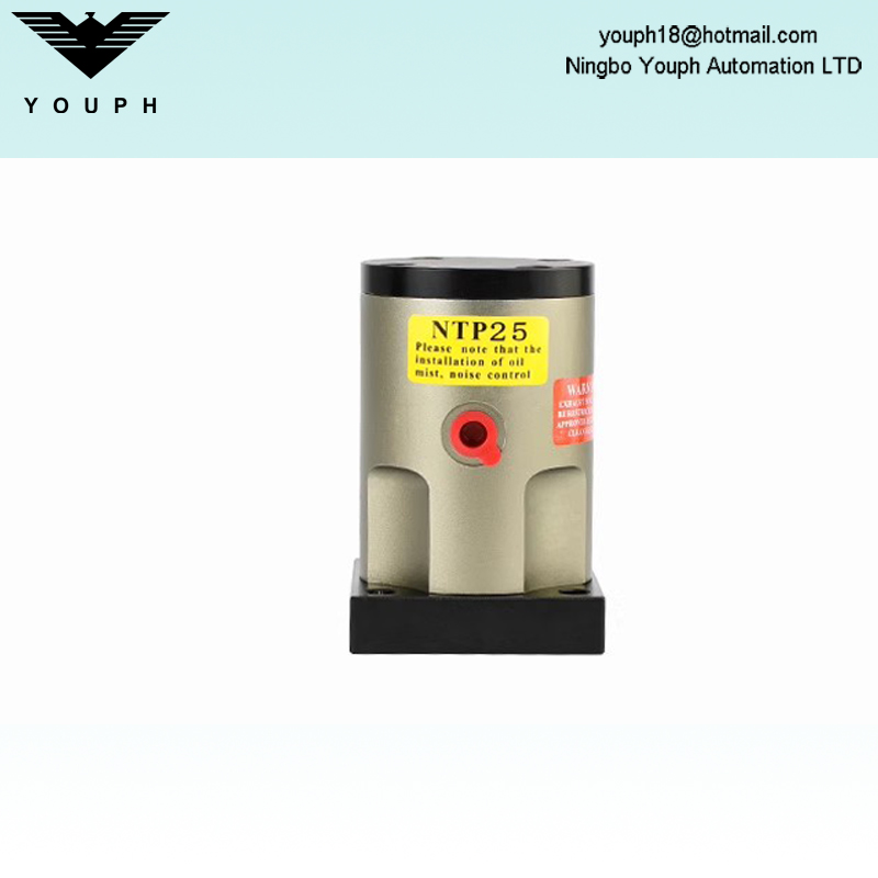 Netter NTP25 NTP32 NTP48 NTP Series Pneumatic Piston Vibrateur