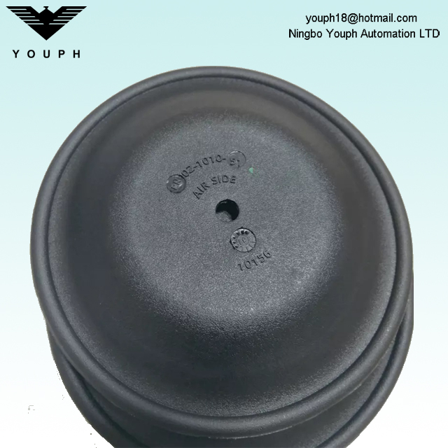 Wilden 02-1010-51 Néoprène Diaphragm Fitr Pompes de diaphragme pneumatique P2 P200