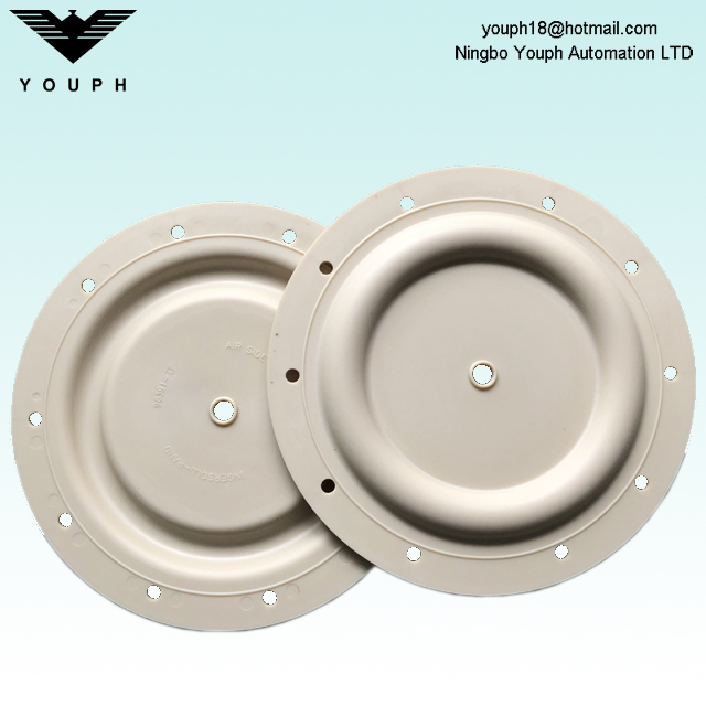 Ingersoll Rand 96391-A Diamètre 330mm 2 'Santoprène Diaphragm 666270-EEB-C 666270 MINIGE BQG350 PUCHRAGM PUCHRAGM PECHRAGM