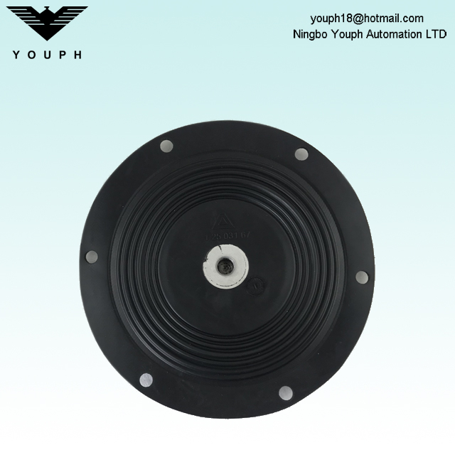 12503167 ALMATEC 1 pouce PTFE composé de diaphragme Diamètre 190 mm pour les pompes à membrane à air E25TTT E25ett