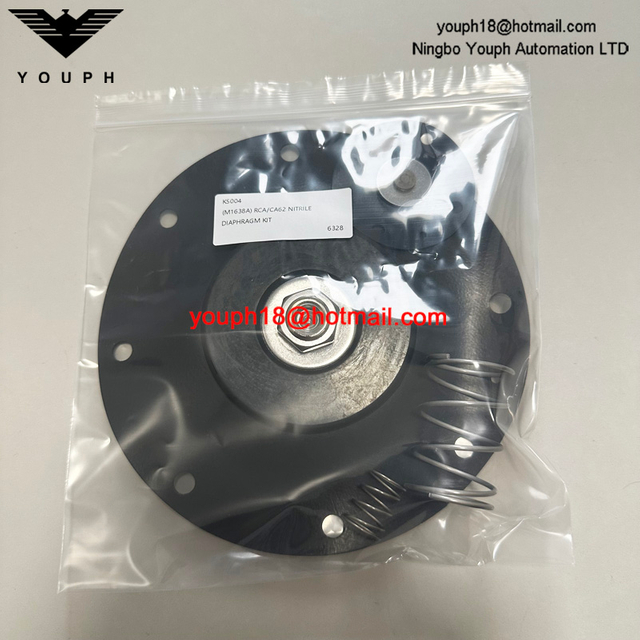 GOYEN K5004 (M1638A) RCA62T CA62T T-Series Soupape à réaction de 2,5 pouces de réparation Nuna Diaphragm