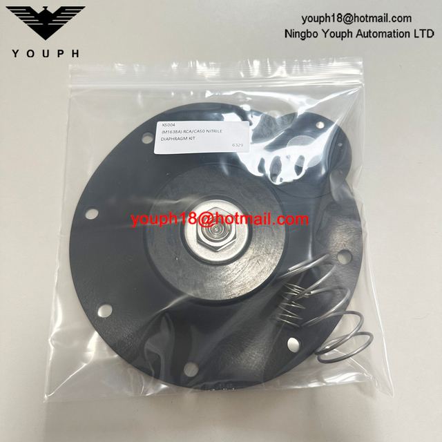 GOYEN K5004 (M1638A) RCA50T CA50T010-300 CA50T010-305 Valve d'impulsion de la série T 2 'kit de réparation de diaphragme de nitrile