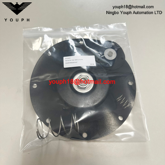 GOYEN K10201 CA102MM011-300 -305 -301 RCA102MM 4 'Viton Diaphragm Repair Kit