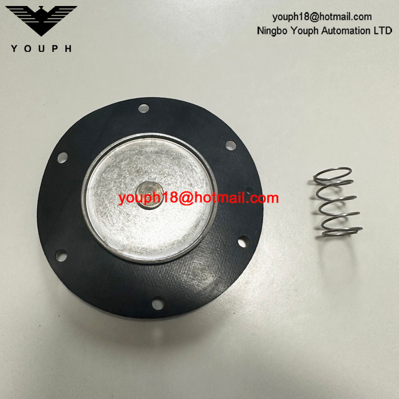 GOYEN K3501 RCA35T011 Valve de diaphragm CA / RCA35T Kit de réparation à haute température Viton