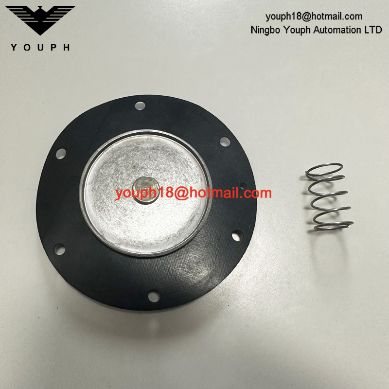GOYEN K3501 RCA35T011 Valve de diaphragm CA / RCA35T Kit de réparation à haute température Viton