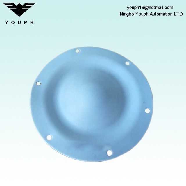 DM15 DM20 Dellmeco 6 trous de montage EP / C PTFE Diaphragm Extérieur Diamètre 144 mm