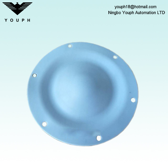 DM15 DM20 Dellmeco 6 trous de montage EP / C PTFE Diaphragm Extérieur Diamètre 144 mm