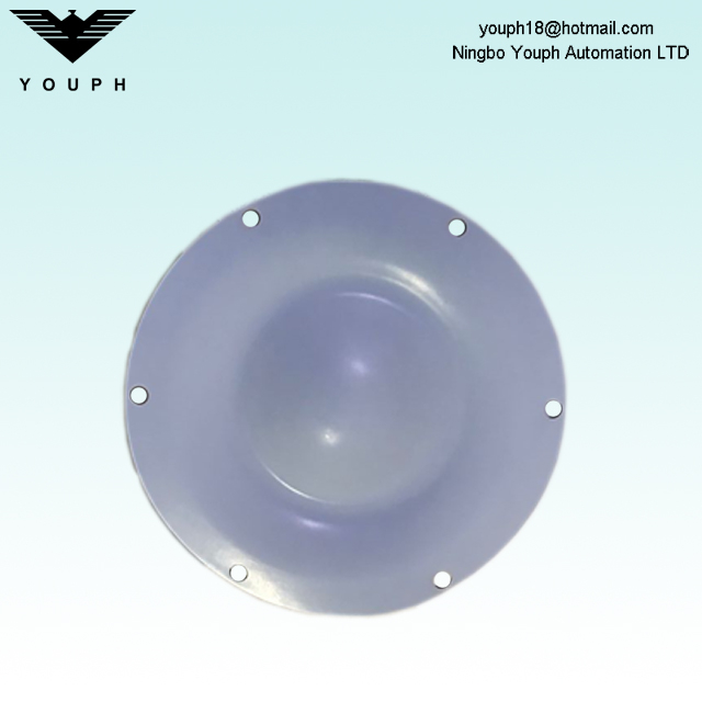 DM25 PTFE Diaphragm de Dellmeco DM25 / 125 POMPE DM25 / 125 TTT-NPT