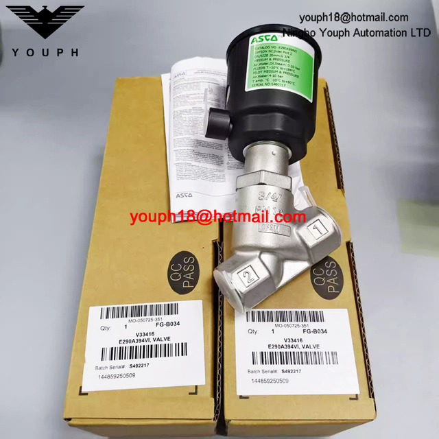 ASCO E290A394 E290A394VI 20mm G3/4 Port EMERSON VALVE à siège angulaire en acier inoxydable