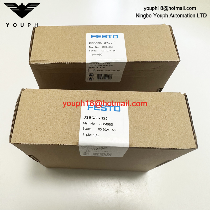 FESTO DSBC / G-125-- 8004985 DSBC125 Kit de réparation du cylindre Standad