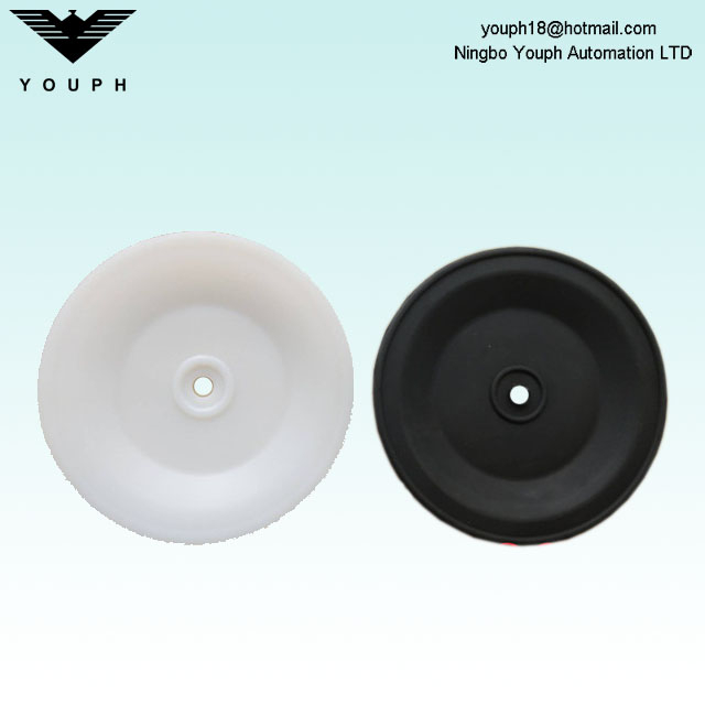 15R022 15R029 GRACO DIAPHRAGM DIAMETER 170 mm pour les pompes Husky 1050