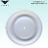 15K313 Husky 2150 2 'Pompe à diaphragme PTFE Diaphragm