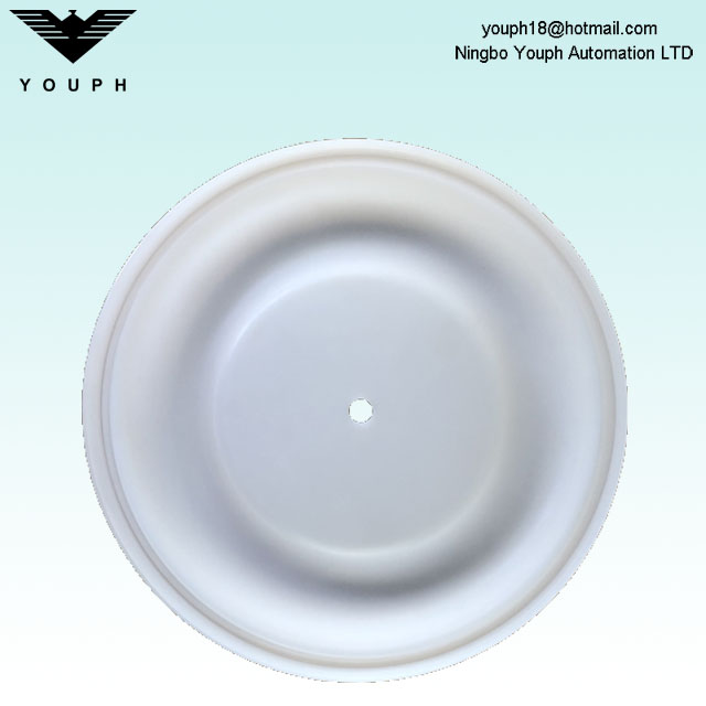 15K313 Husky 2150 2 'Pompe à diaphragme PTFE Diaphragm