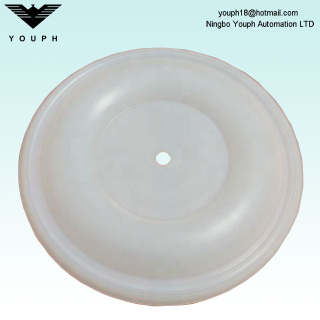 15K312 PTFE Diaphragm Fit pour une pompe AODD à 1,5 pouce Husky1590 Diaphragm Pompe TF TF Diaphragm