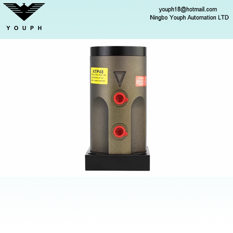 Netter NTP25 NTP32 NTP48 NTP Series Pneumatic Piston Vibrateur