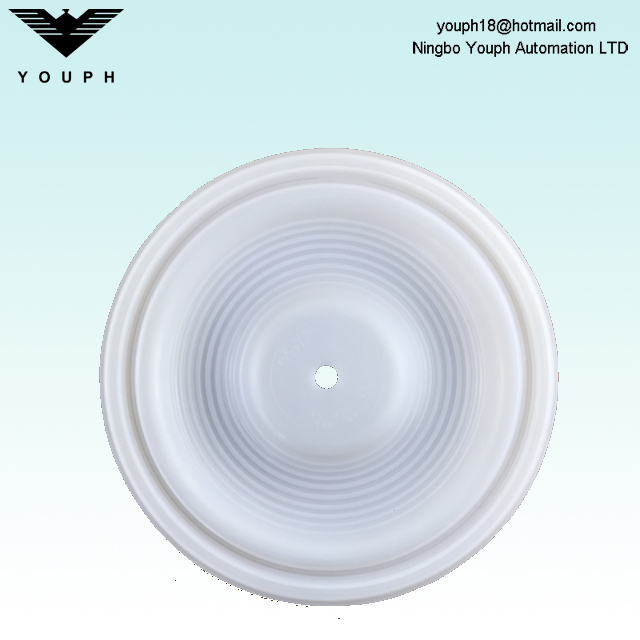 Wilden 02-1010-55 Membrane PTFE pour P2 P200 Pompes à diaphragme pneumatique 1 pouce