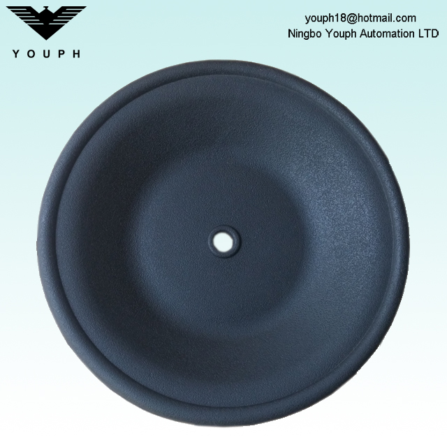 Wilden 02-1010-51 Néoprène Diaphragm Fitr Pompes de diaphragme pneumatique P2 P200
