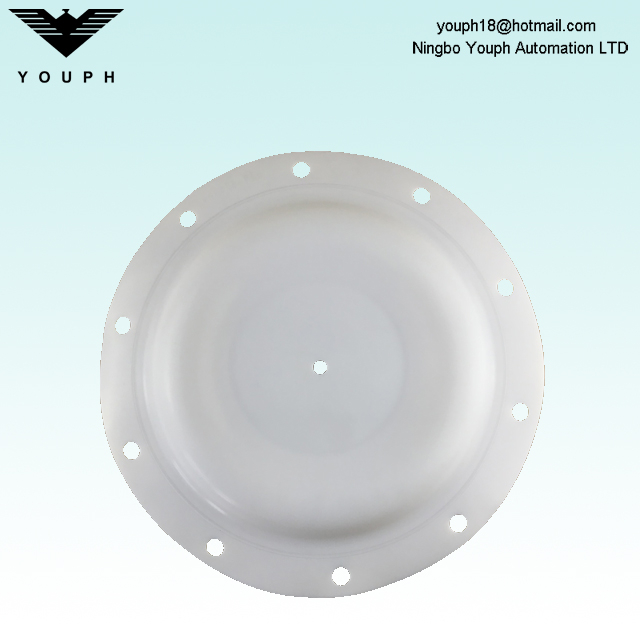 286-078-600 286-077-354 Diaphragm Fit Sandpiper S30 3 'Pompes en plastique S30B3P1