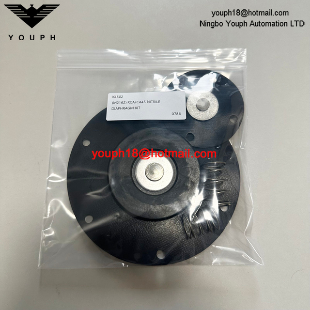 GOYEN K4502 M2162 RCAC45FS CA45FS010-300 1-1 / 2 'Kit de rechange de diaphragme de soupape à impulsion à bride
