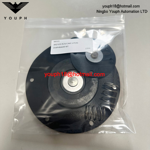 GOYEN K4503 M2163 RCA45T RCA45DD CA45T011-300 -305 Kit de diaphragm Viton de vanne d'impulsion