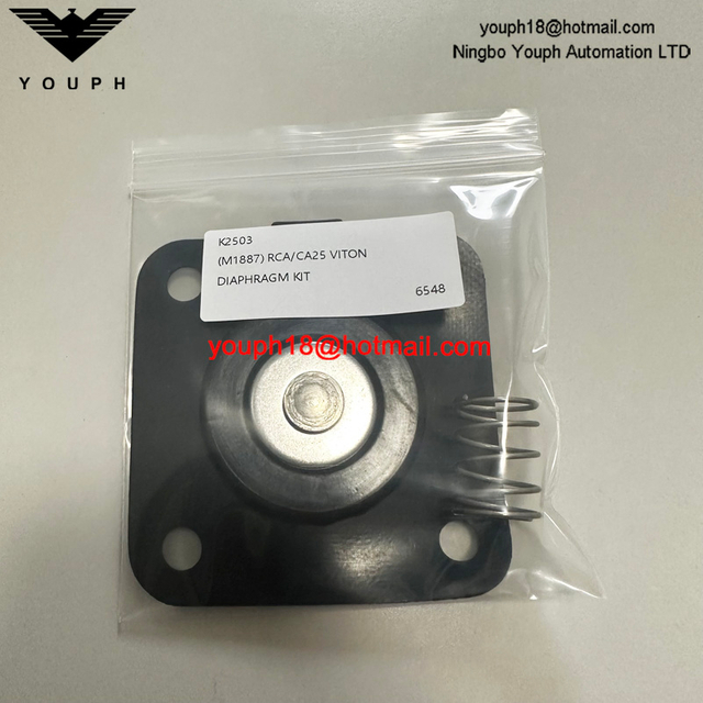 GOYEN K2503 M11887 1 'Kit de réparation de diaphragme Viton à haute température à haute température