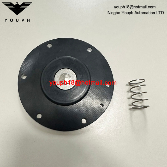 GOYEN K3501 RCA35T011 Valve de diaphragm CA / RCA35T Kit de réparation à haute température Viton