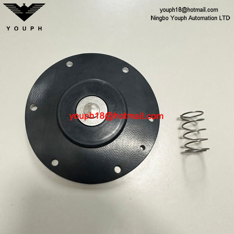 GOYEN K3501 RCA35T011 Valve de diaphragm CA / RCA35T Kit de réparation à haute température Viton