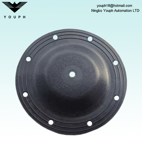 V183N-1 V183BN-1 Versa-Matic E1 Series Pumps Diaphragm Pièces