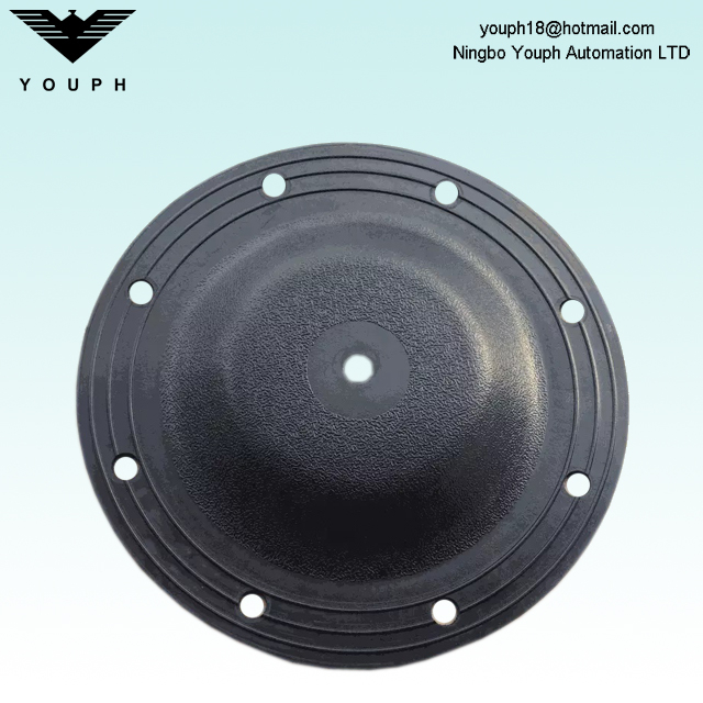 V183N-1 V183BN-1 Versa-Matic E1 Series Pumps Diaphragm Pièces