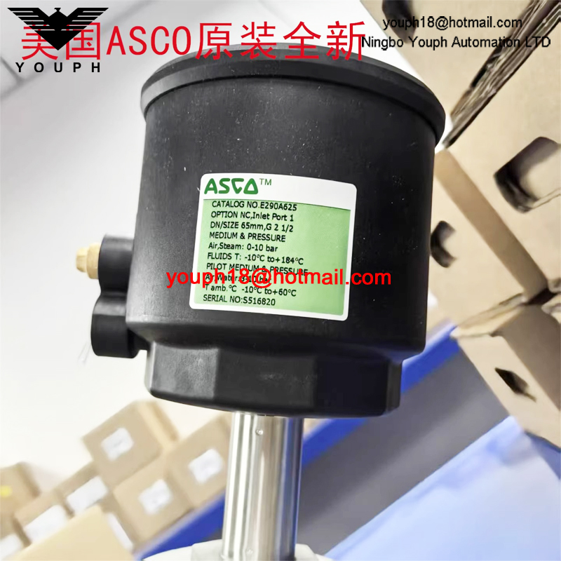 ASCO EMERSON E290A625 DN65mm G2.5 VALVE à siège angulaire en acier inoxydable haute température
