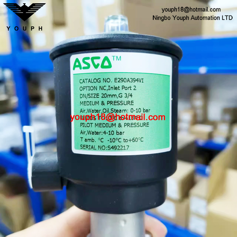 ASCO E290A394 E290A394VI 20mm G3/4 Port EMERSON VALVE à siège angulaire en acier inoxydable