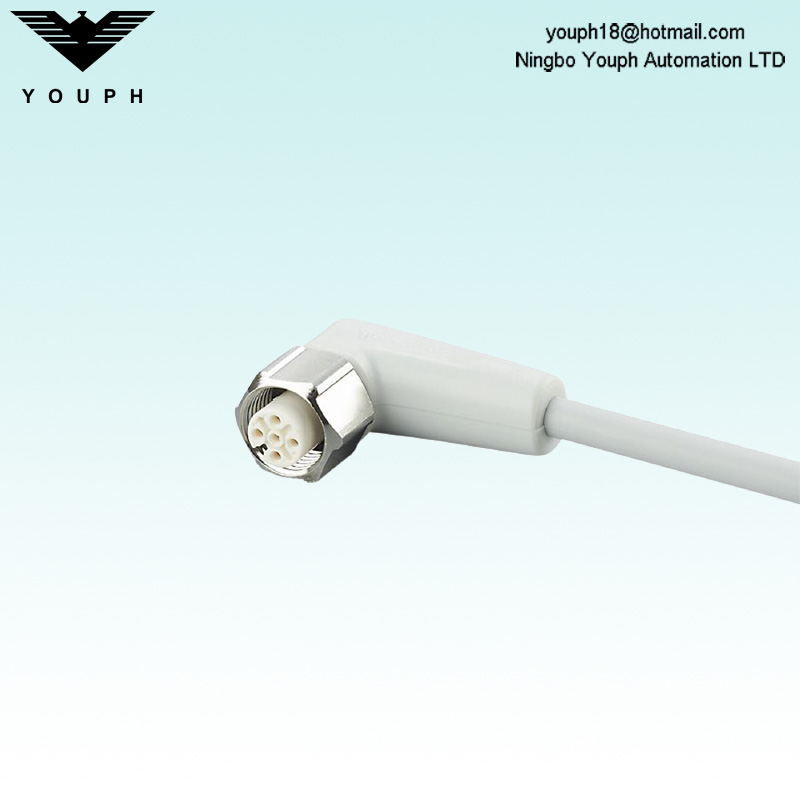 IFM EVF005 ADOAH040VAS0010P04 avec câble de connexion à douille