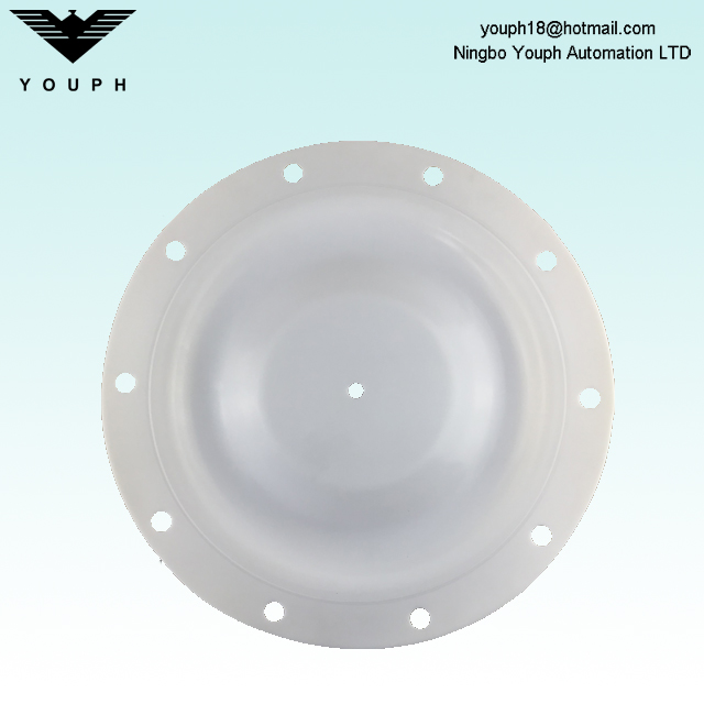 286-078-600 286-077-354 Diaphragm Fit Sandpiper S30 3 'Pompes en plastique S30B3P1