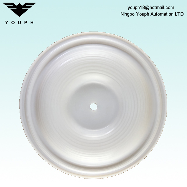 Wilden 04.1010.55 04-1010-55 Diaphragm PTFE pour 1,5 pouce P4 T4 P400 Pumps